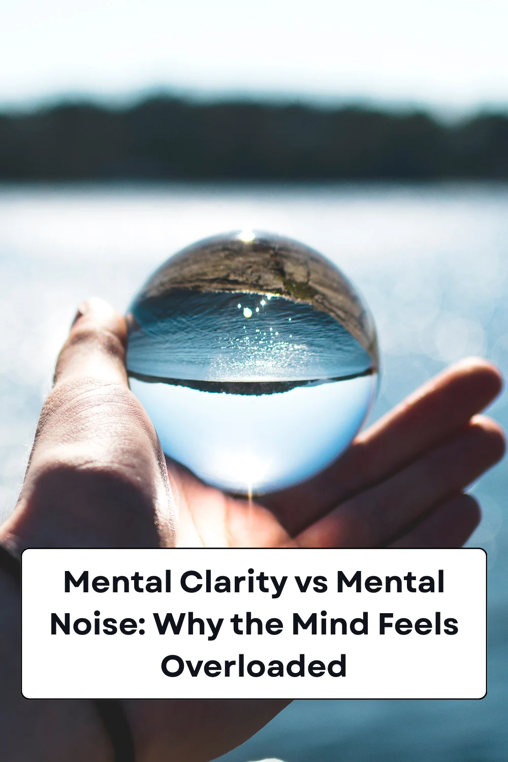 Mental Clarity vs Mental Noise: Why the Mind Feels Overloaded
