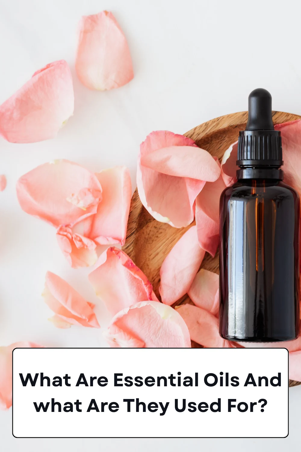 What Are Essential Oils And What Are They Used For?